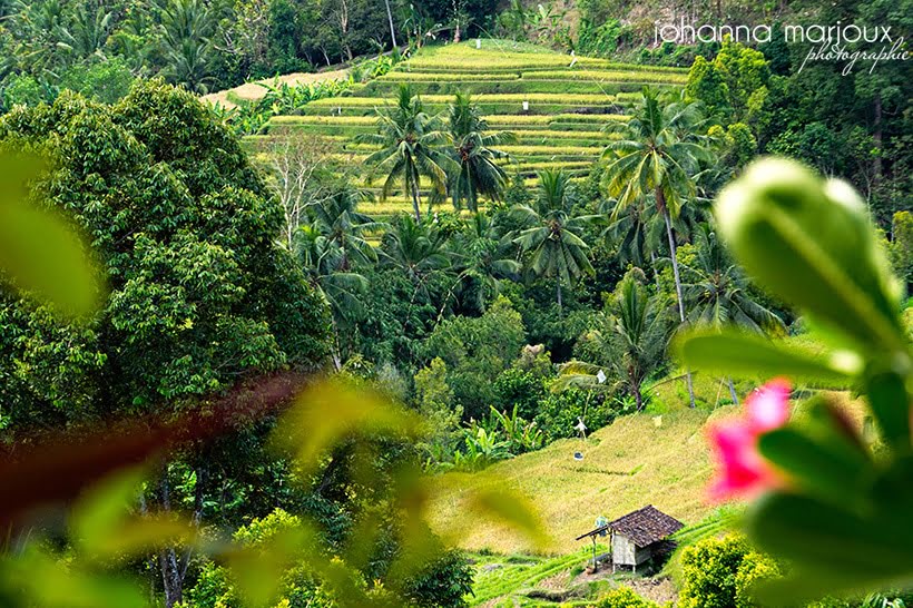 Bali | Photographe Montpellier Bali | Photographe Montpellier